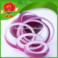 High Quality Onion Manufacturer Natural red big onion